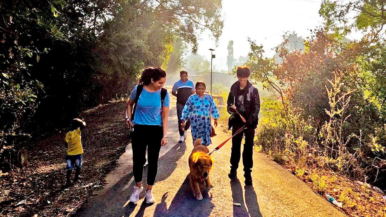 Walk with your pets 