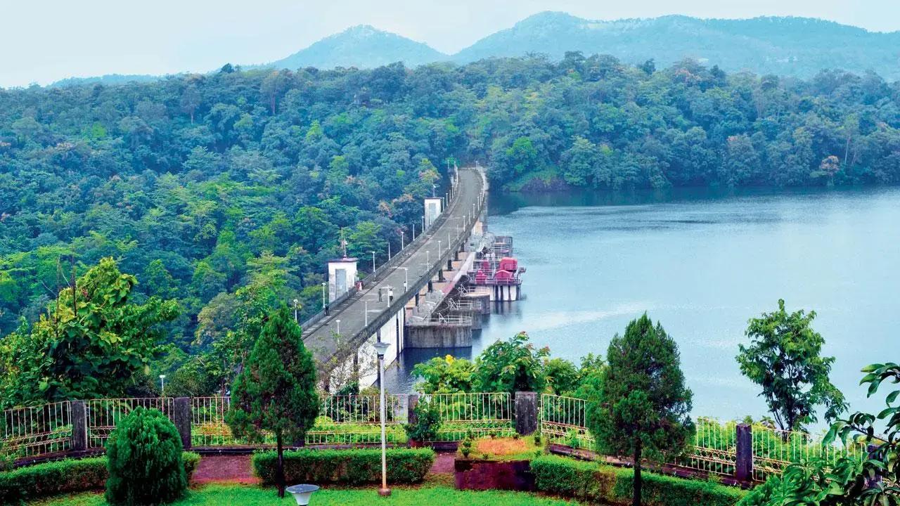 Lake levels in Mumbai reservoirs at 39.23 per cent, says BMC
The collective lake levels in Mumbai of the seven reservoirs that supply drinking water to the city are now at 39.23 per cent, as per the Brihanmumbai Municipal Corporation data. Read More