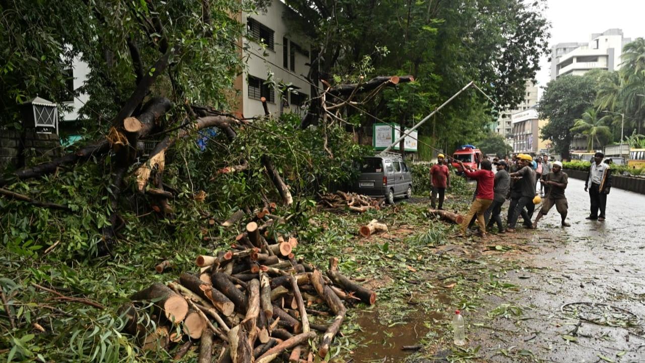 The India Meteorological Department (IMD) in its latest weather update had issued a warning of heavy rain in the areas of Mumbai and Thane on Wednesday