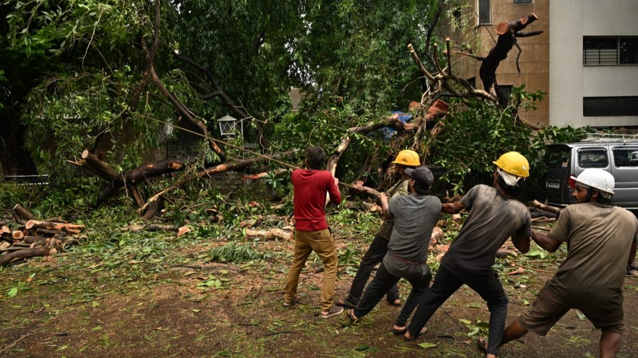 The weather department, in its latest Mumbai weather update, has forecasted 