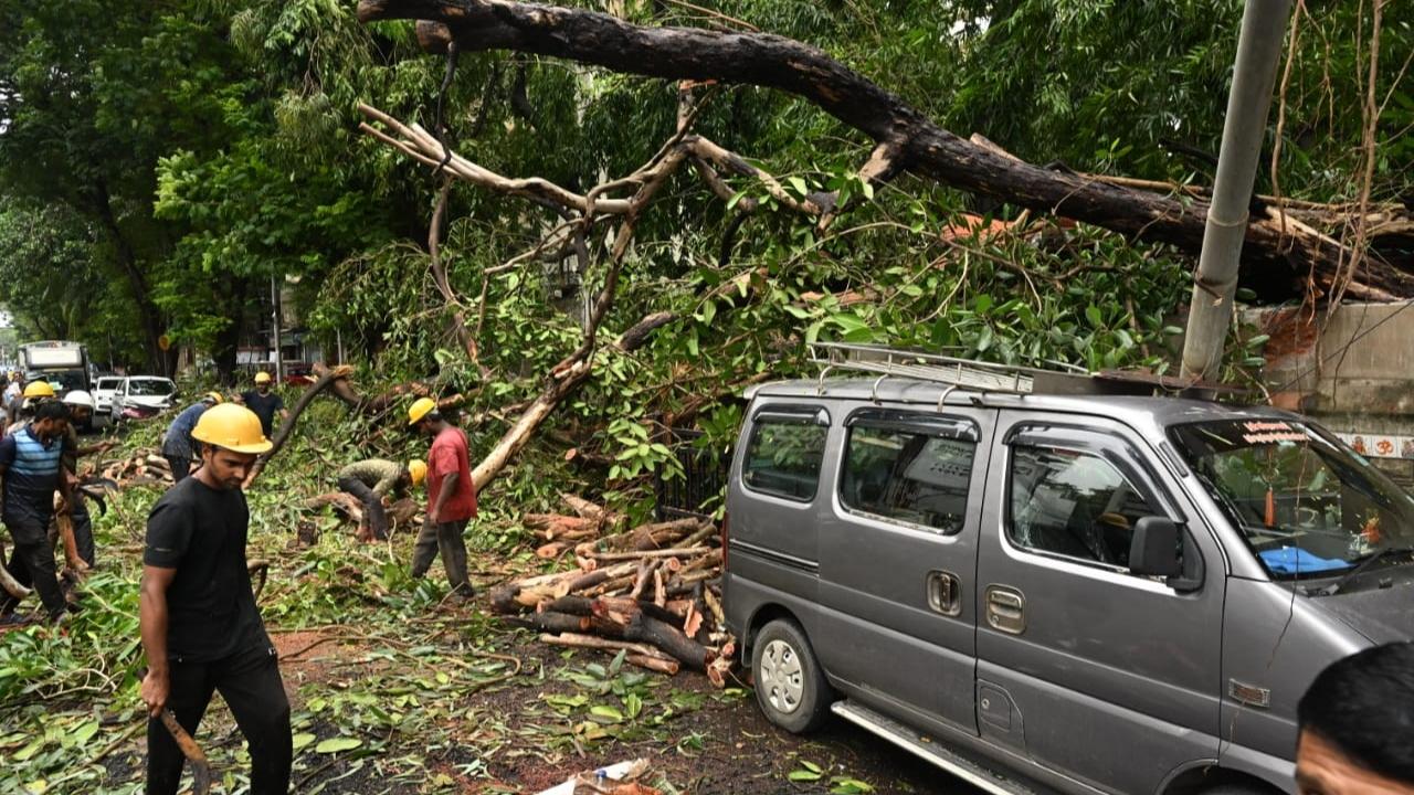 According to the BMC, a high tide of about 4.72 metres and a low tide of about 1.12 metres is expected to hit Mumbai at 2.11 pm and 8.20 pm respectively