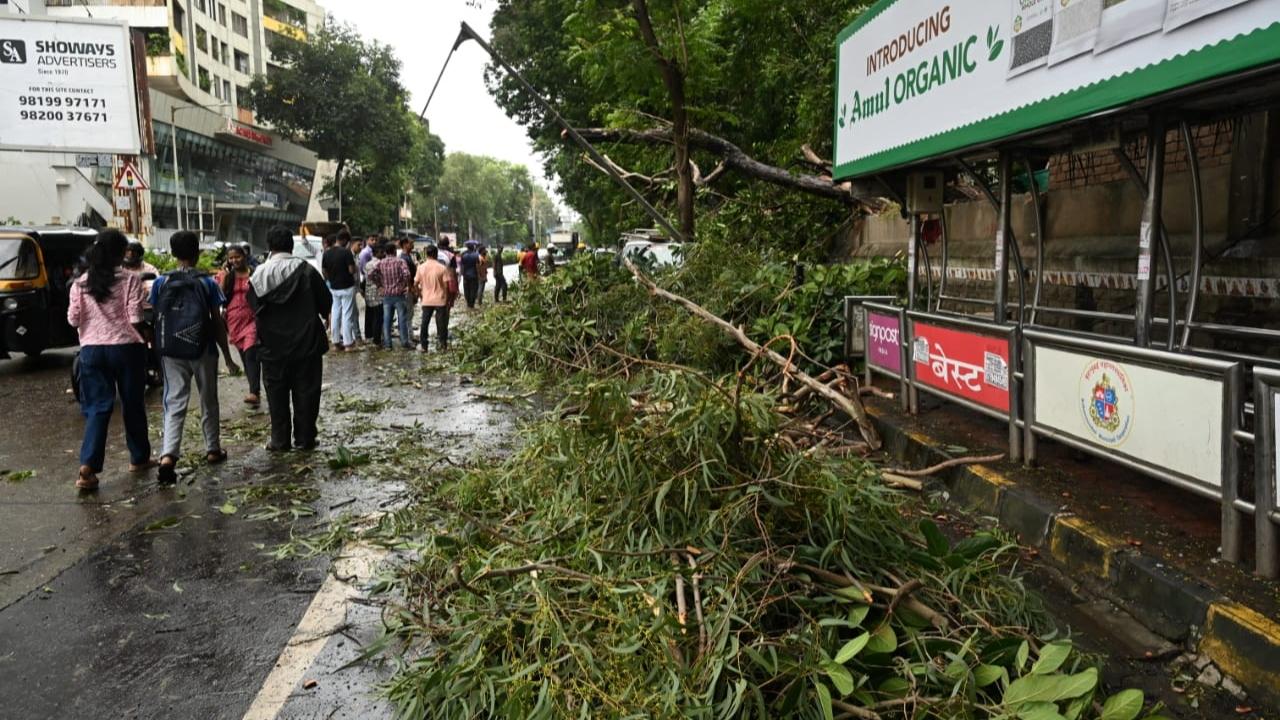 The maximum temperature in the city is likely to settle at 28 degrees Celsius and the minimum temperature will be recorded at 24 degrees Celsius