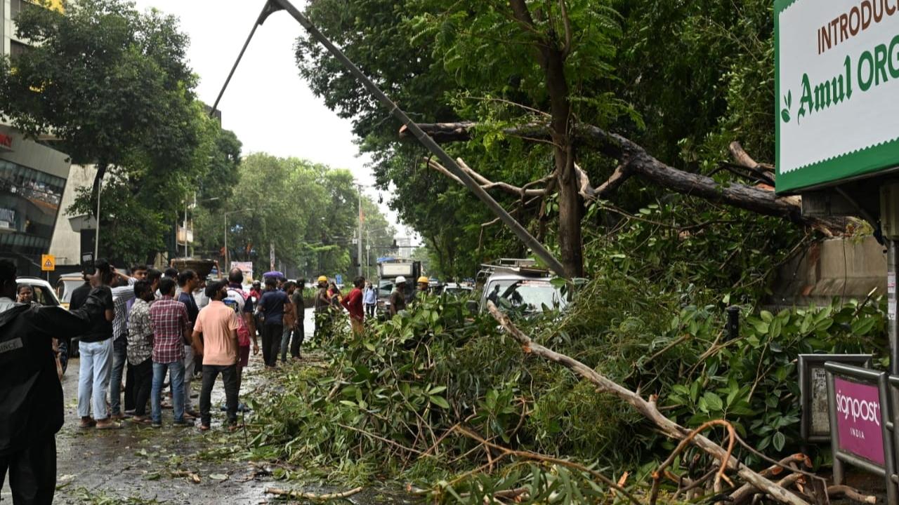 The island city recorded 26.28 mm of rainfall, eastern Mumbai 44.54 mm and western Mumbai 41.39 mm of rainfall in the 24-hour period ending at 8 am