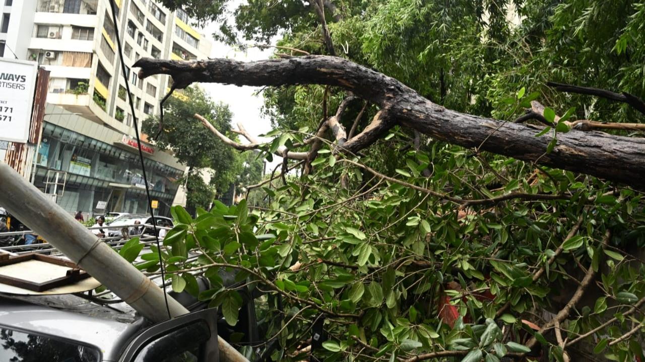 Earlier, the Mumbai Police issued an advisory asking citizens to avoid coastal areas due to the heavy rainfall in the city