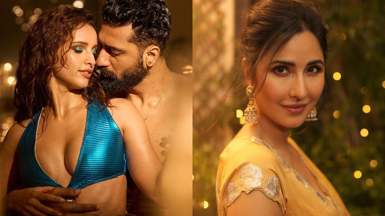 Vicky Kaushal drops steamy picture with Triptii Dimri to tease new Bad Newz song Jaanam, fans say, 'main toh na sehti, Katrina'