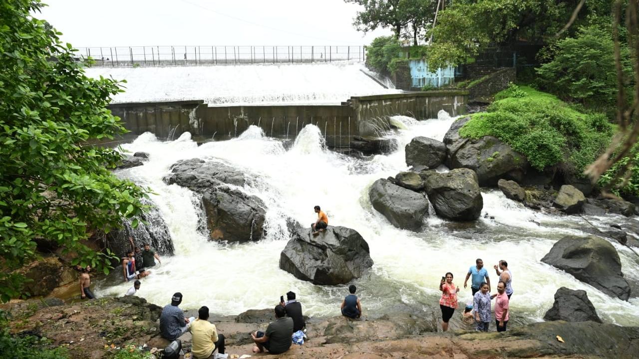 Meanwhile, the municipal corporation has declared on Thursday that the current 10 per cent water curtailment in Mumbai's water supply will end on Monday, July 29