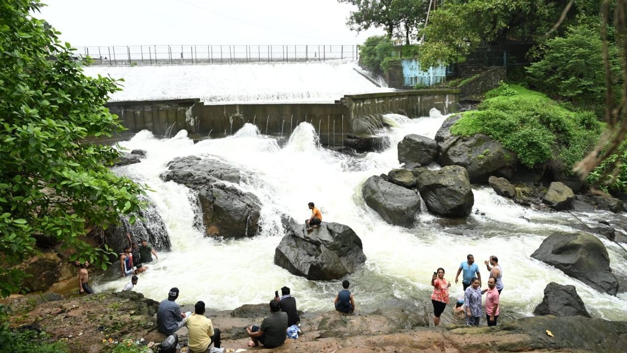 Vihar Lake has overflowed its banks, creating a dramatic natural spectacle. Pics/Satej Shinde