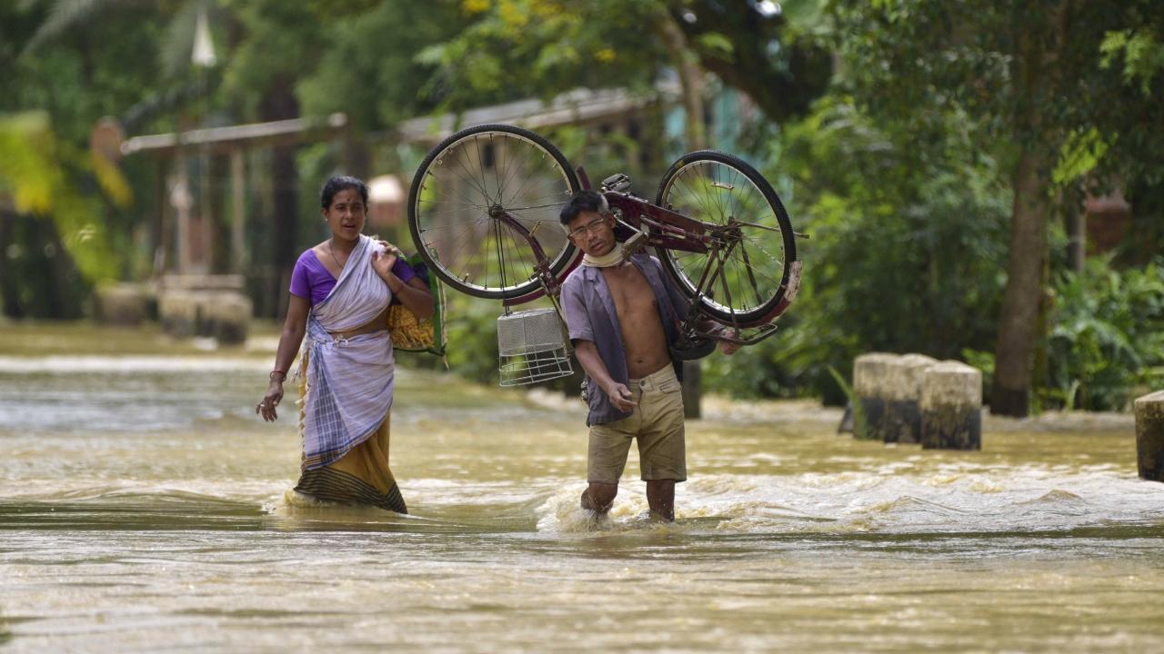 Nearly 3.5 lakh people remained affected in Karbi Anglong, Dhemaji, Hojai, Cachar, Karimganj, Dibrugarh, Nagaon, Hailakandi, Golaghat, West Karbi Anglong and Dima Hasao districts, Assam State Disaster Management Authority stated in a release.