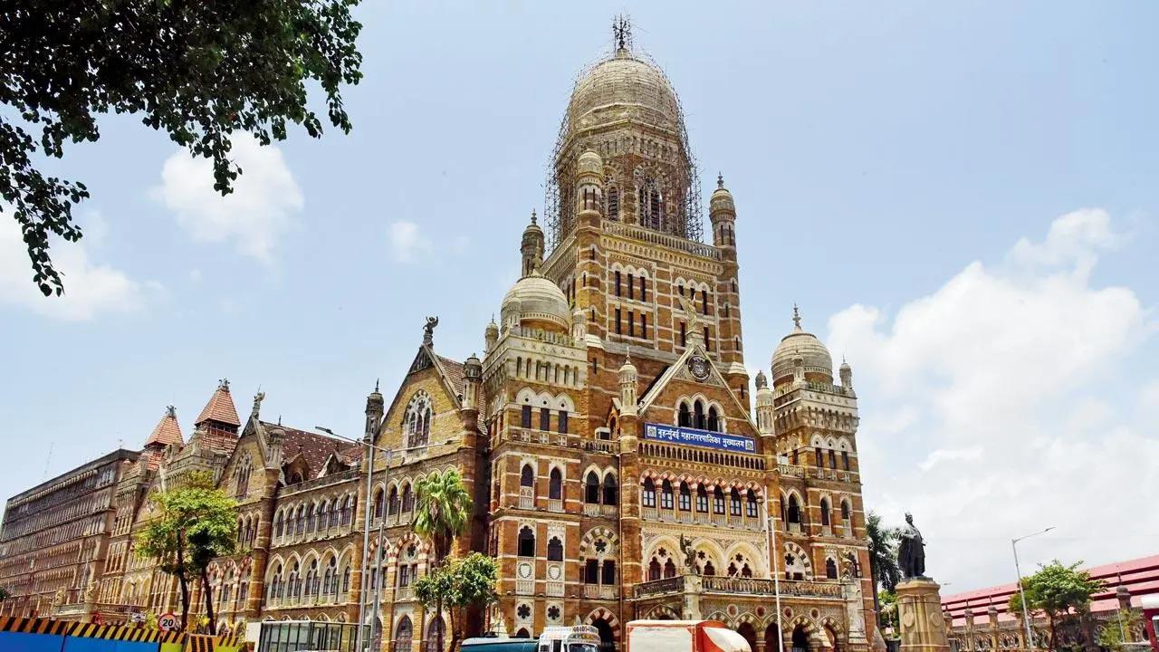 BMC introduces new employement opportunities for women SHGs