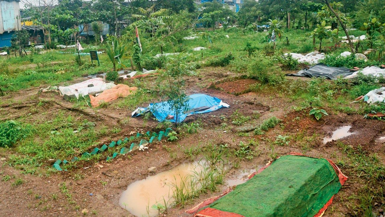 Mumbai: ‘Create promised graveyard soon’