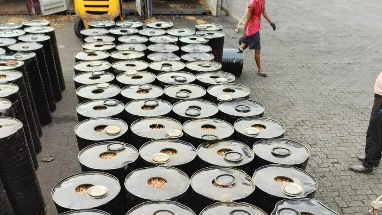 Areca nuts smuggling: 5 crores worth areca nuts busted at Nhava Sheva 
In a significant crackdown earlier this week, officers of the Special Intelligence and Investigation Branch (Import) [SIIB(I)] at Jawaharlal Nehru Custom House (JNCH), Nhava Sheva, intercepted and seized 112.14 metric tons (MTs) of Areca Nuts concealed in containers misdeclared as 