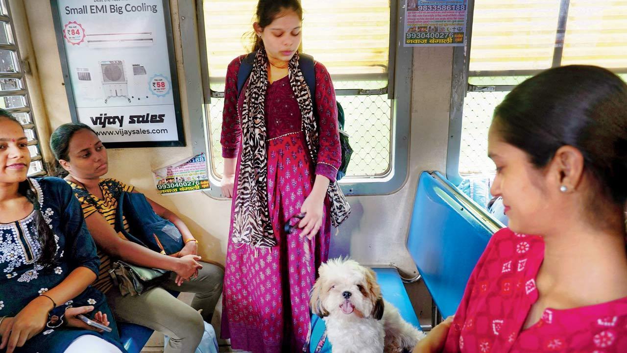 Mumbai Diary: Sunday Dossier