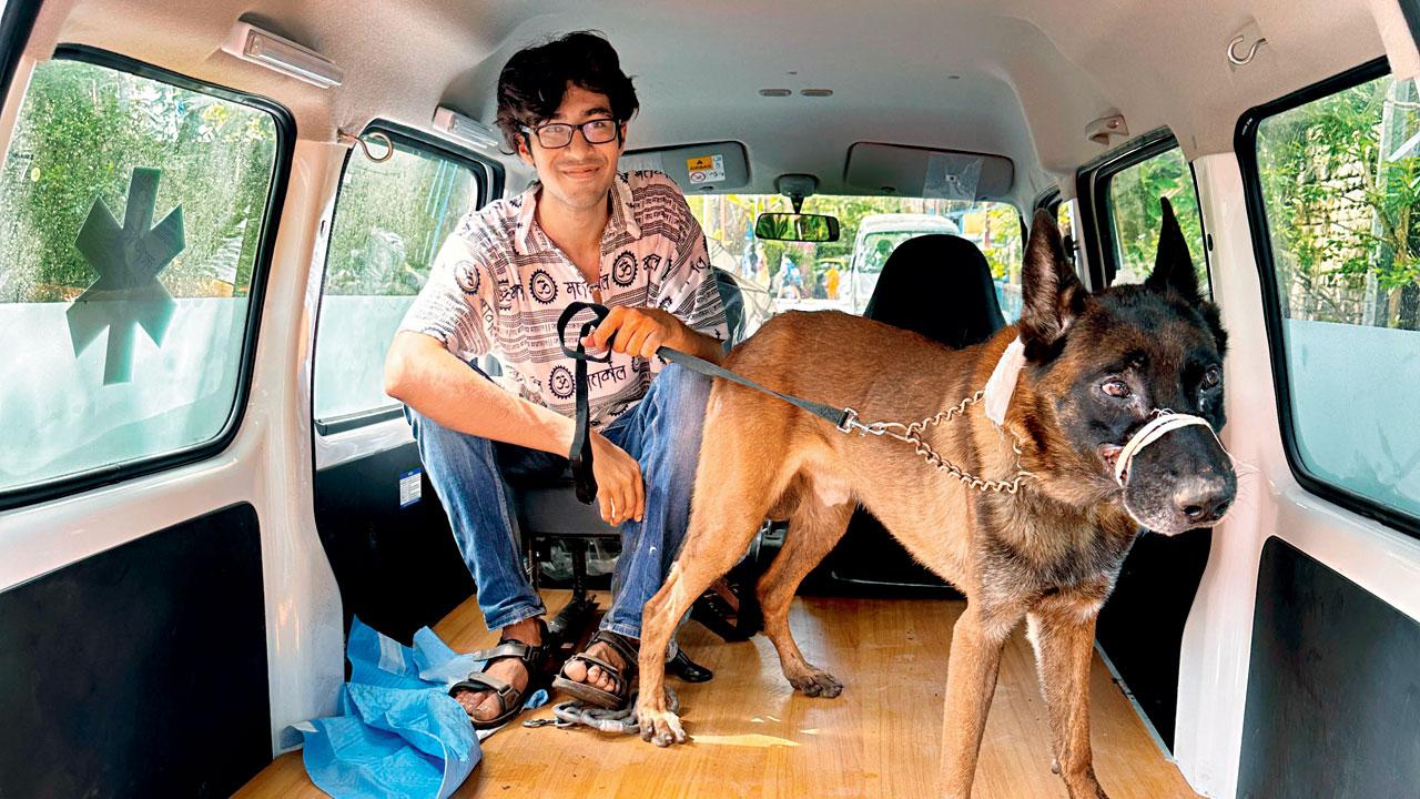 The dogs after being rescued. Pics/Rajesh Gupta