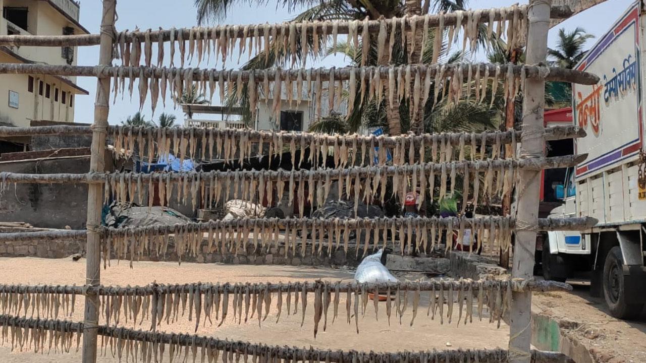 Exploring how Mumbai’s diverse communities celebrate with dried fish