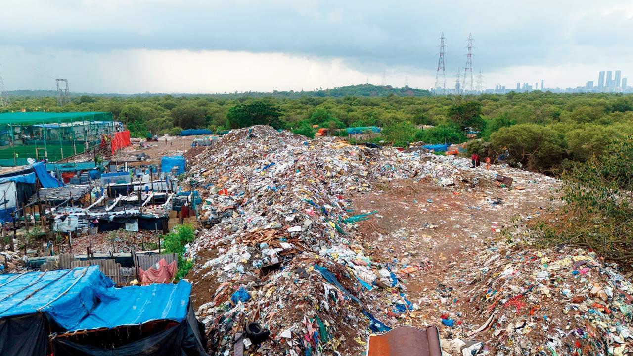Mumbai: Authorities turn blind eye to illegal dumping of debris in mangroves in Versova village
