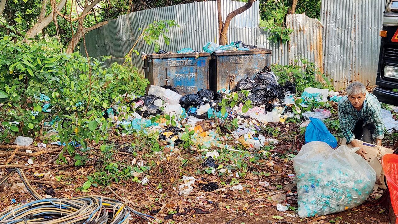 Garbage dumped in the area, which is home to several production houses as well as wildlife species