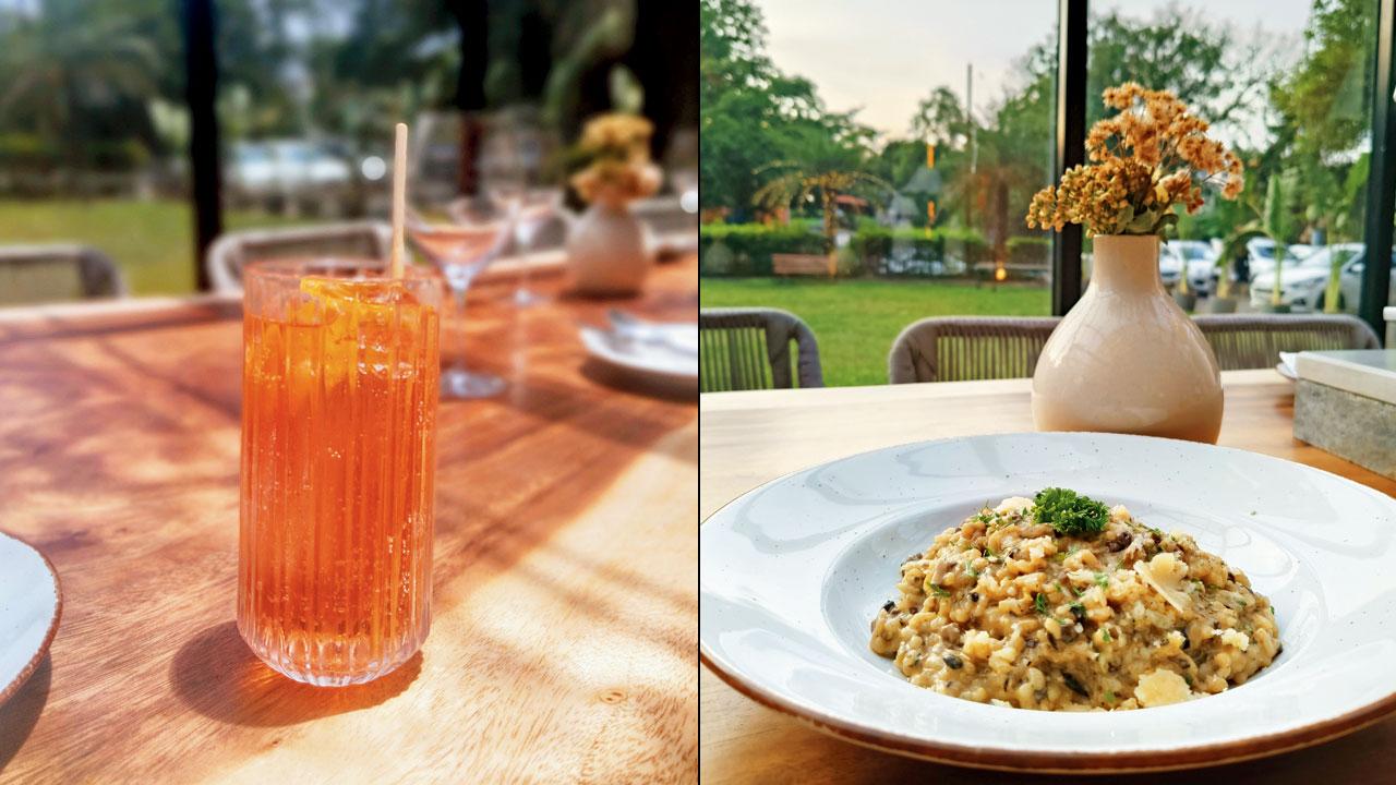 Fiori sunset and Mushroom risotto