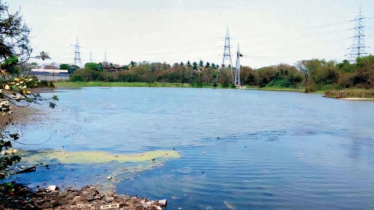 Mumbai: Govt will hand over Lokhandwala lake to builders, says Aaditya Thackeray