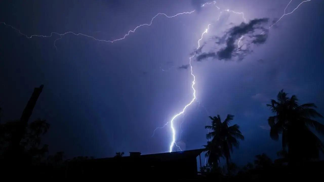 Thane: Couple injured, cattle killed in lightning strike