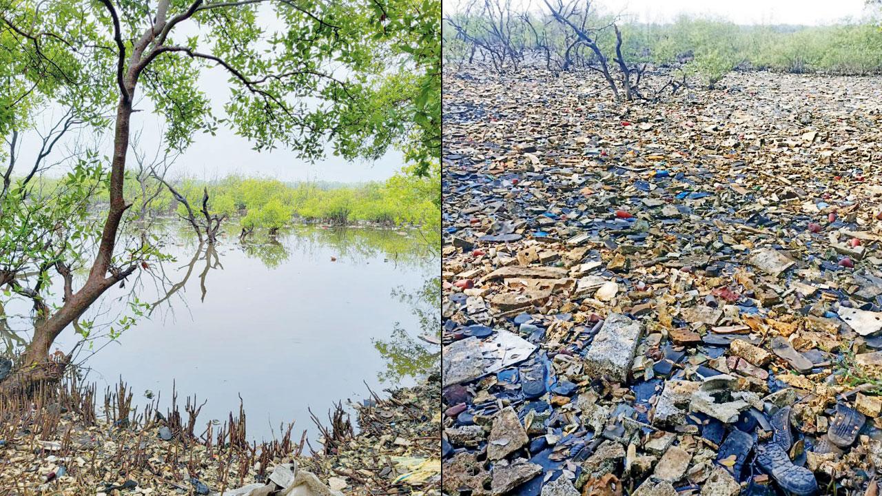 The pond and its surrounding areas after the team’s eight-week-long efforts; (right) plastic bags, rubber waste and thermocol boxes dumped in the pond