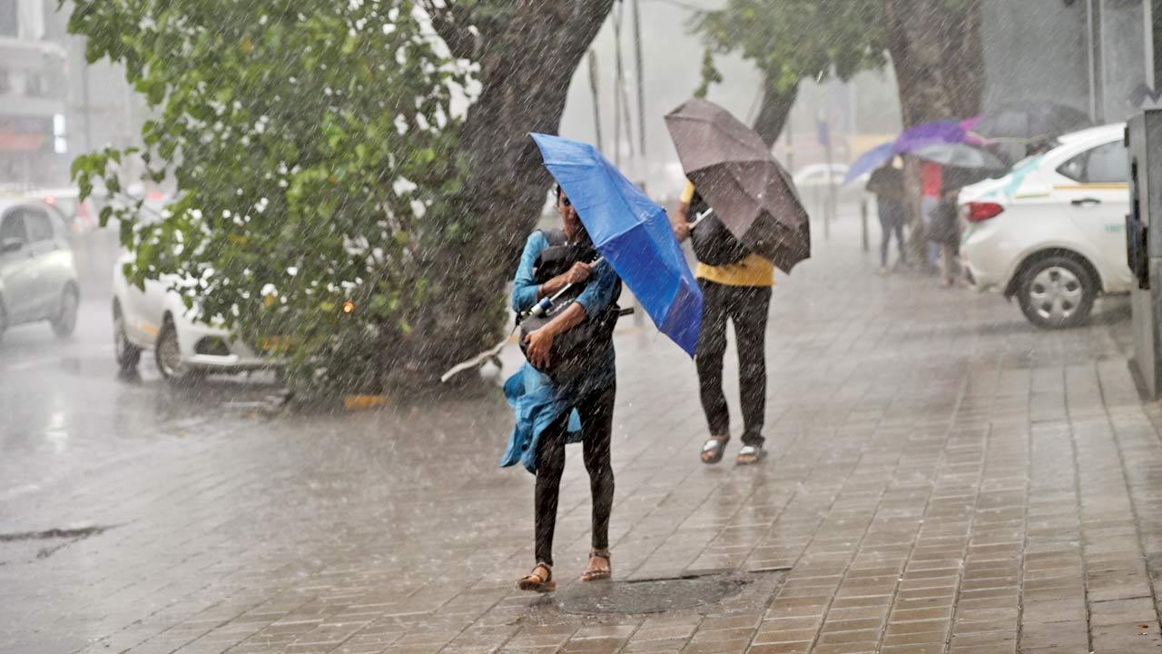 Rain in Mumbai but nothing substantial in lake areas