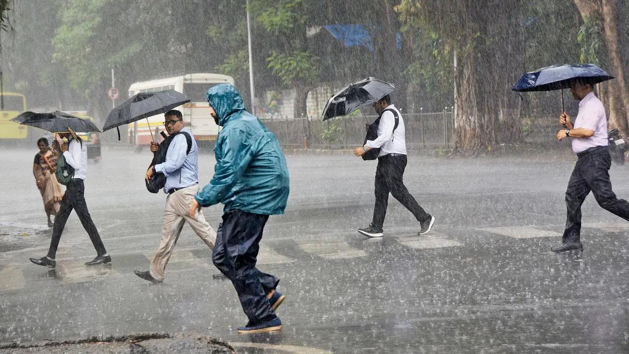 Heavy rains lash Mumbai, nearby areas; road collapse disrupts traffic