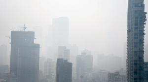 World Environment Day 2024: Did you know air pollution can cause heart disease?