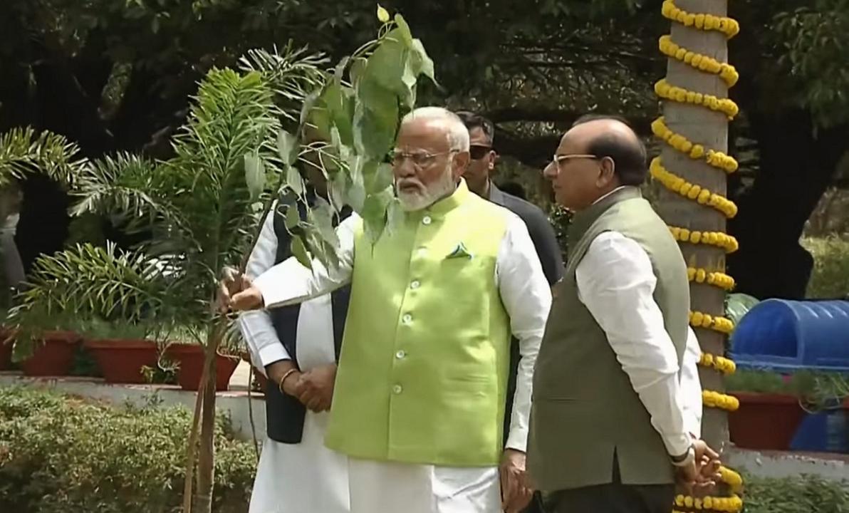 In Photos: PM Modi launches tree plantation campaign on World Environment Day