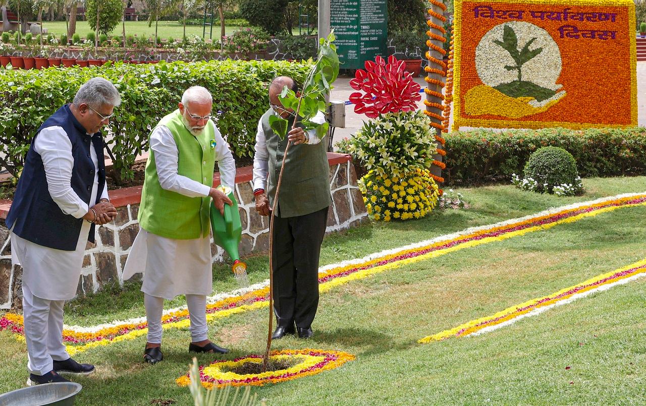 Under the campaign, 'Ek Ped Maa Ke Naam', millions of trees will be planted across the country
