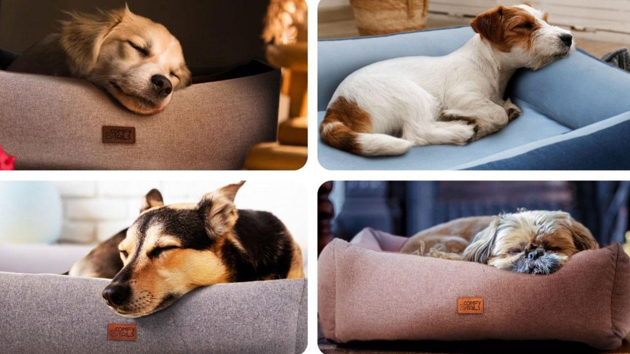 ComfyTails Redefines Pet Comfort with Luxury Orthopedic Beds