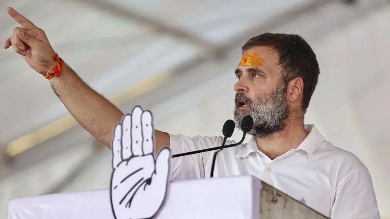 India General Elections 2024: Rahul Gandhi, Mallikarjun Kharge to hold meeting to strategise on poll outcomes