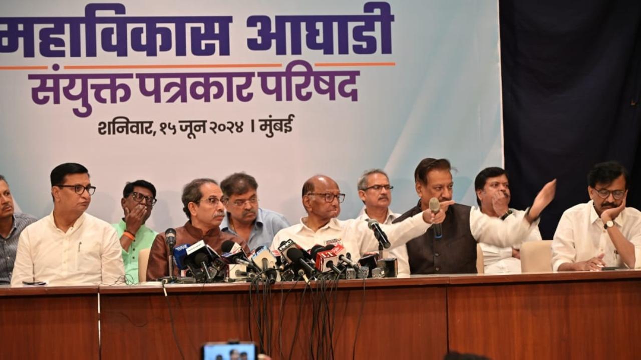In the just-concluded Lok Sabha elections, the Congress won 13 seats, a quantum jump from the solitary seat it won in the state in 2019, while the Shiv Sena (UBT) bagged nine and the NCP (SP) eight