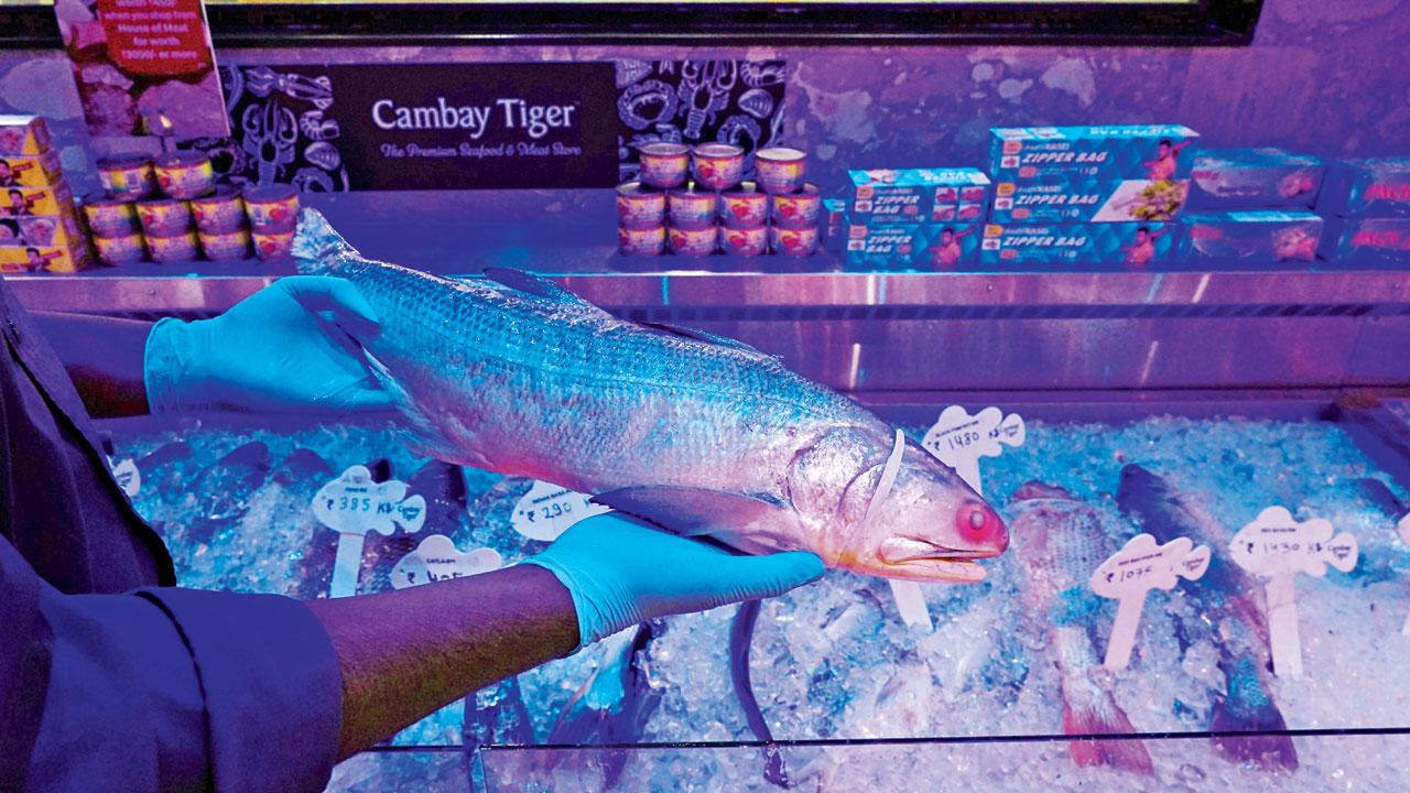 Fresh Catch