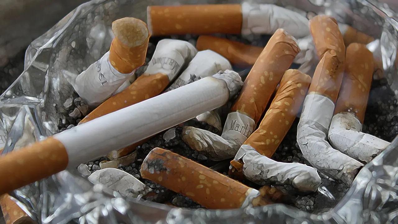'ICC Cricket World Cup 2023 had 41 per cent surrogate ads on smokeless tobacco'