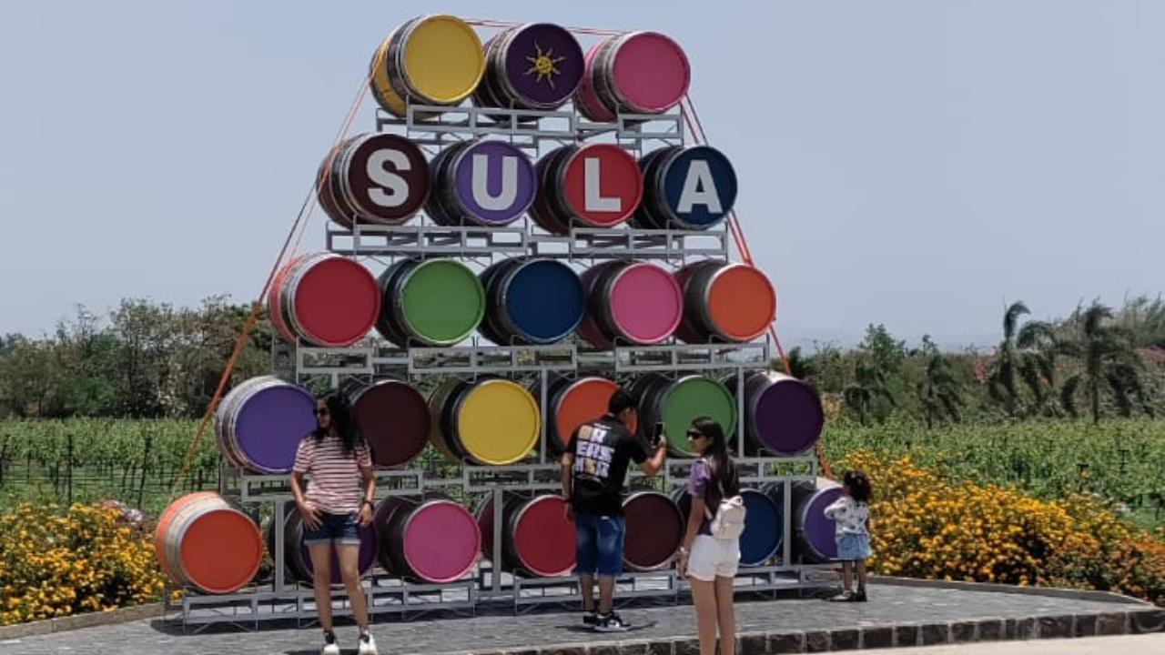IN PHOTOS: A walkthrough through Sula Vineyards in Nashik before the monsoon