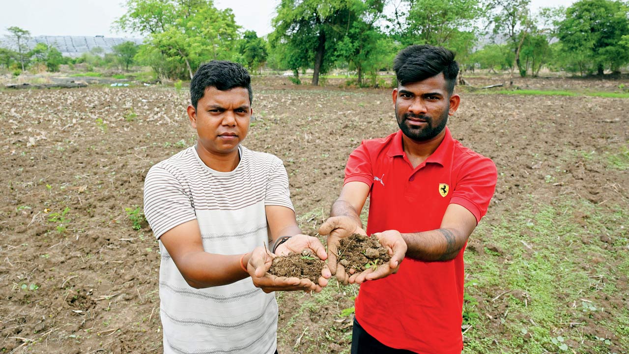 Aadesh and Pradeep Patil, farmers from Siddhi Karavale, claim that black sludge has led to their paddy yield sharply declining in the last 15 years