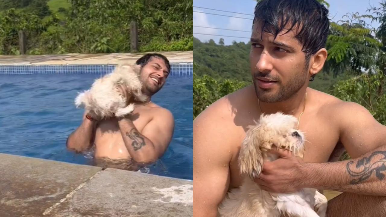 For actor Namish Taneja, his four furry babies are his ‘Mishri’ in life