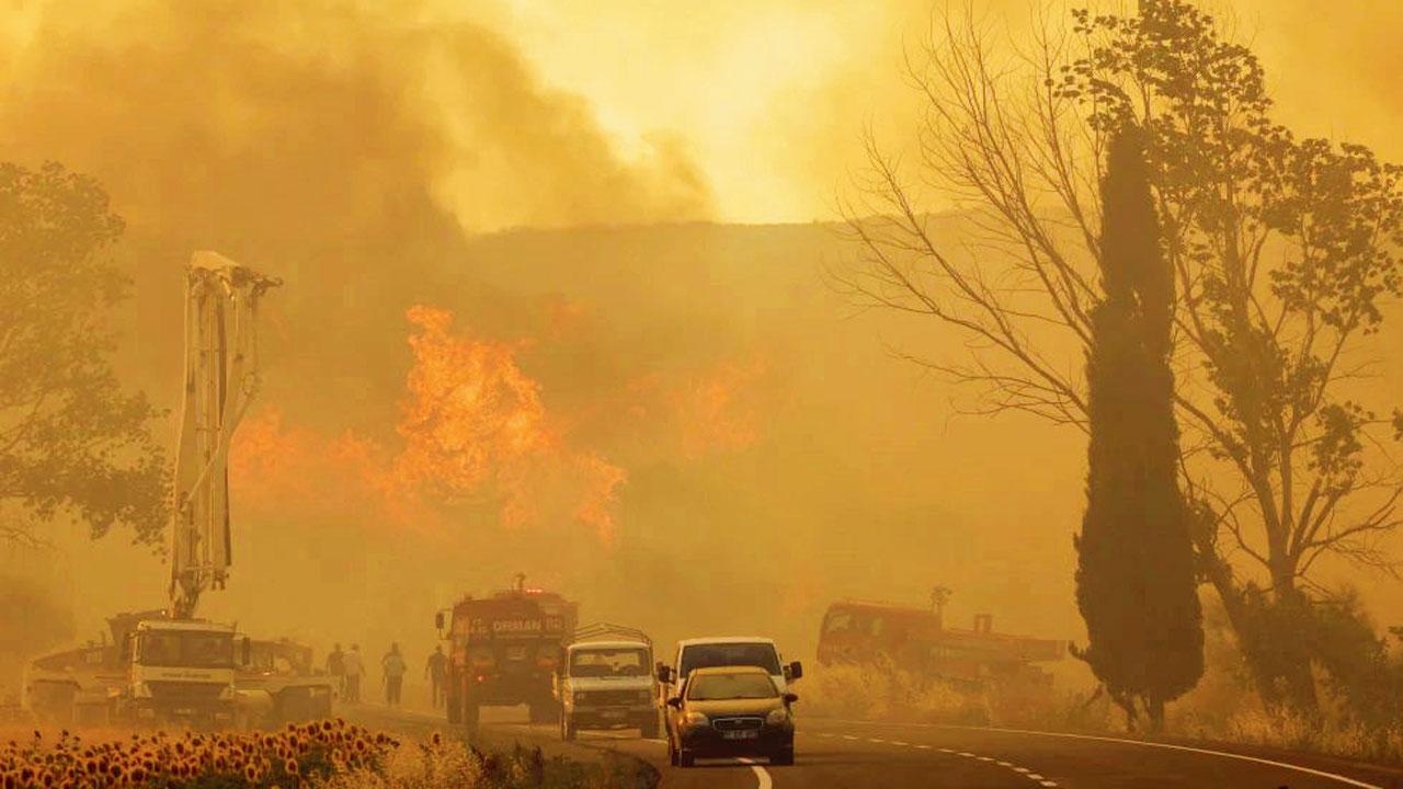 Agricultural fire in Turkey kills five