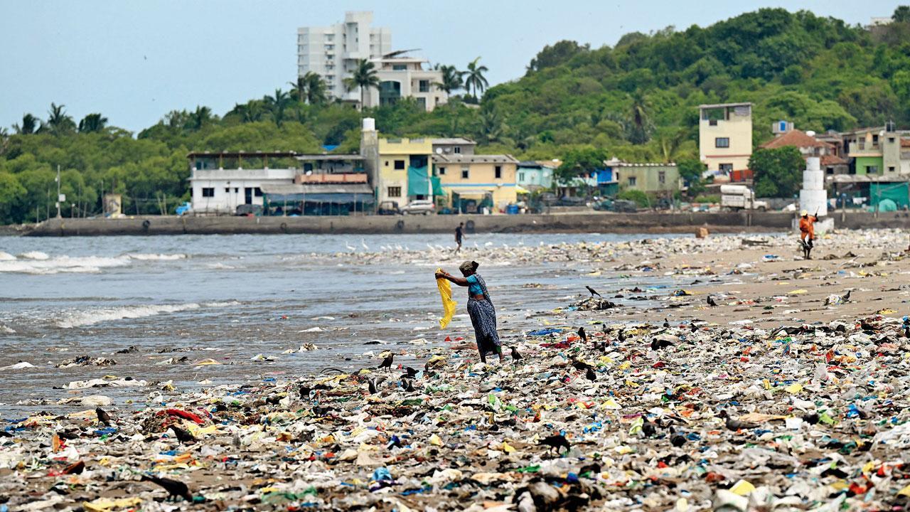 Mumbai: BMC has another bright idea for domestic waste management