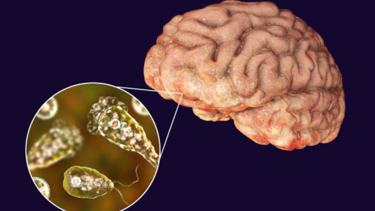 Know all about brain-eating amoeba infection that claimed two lives in Kerala