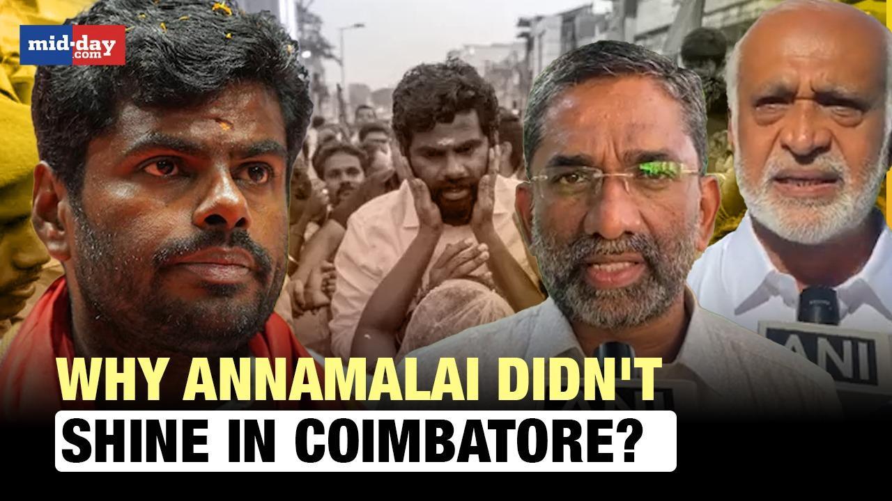 Why K Annamalai Failed To Win In LS Polls? Locals Share Reason 