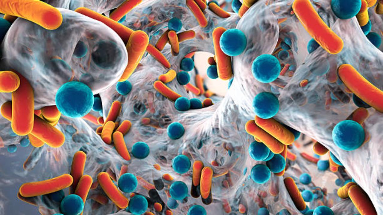 Antimicrobial resistance among top health threats, over 2 people die every min