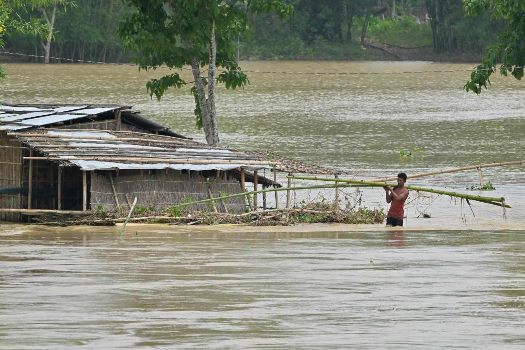 Assam floods rise in death toll, over 13 districts affected