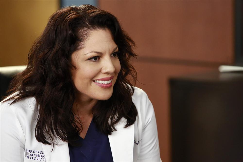 Callie Torres entered Grey's Anatomy as someone who had a quick, impulsive marriage, but as she developed more friendships and relationships, she discovered she is bisexual.