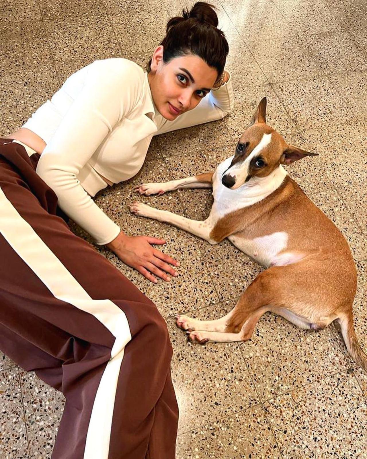 Diana Penty is a pet parent of an Indie whom she named Vicky. The actress, a strong advocate of adopting strays, often shares pictures and videos with Vicky