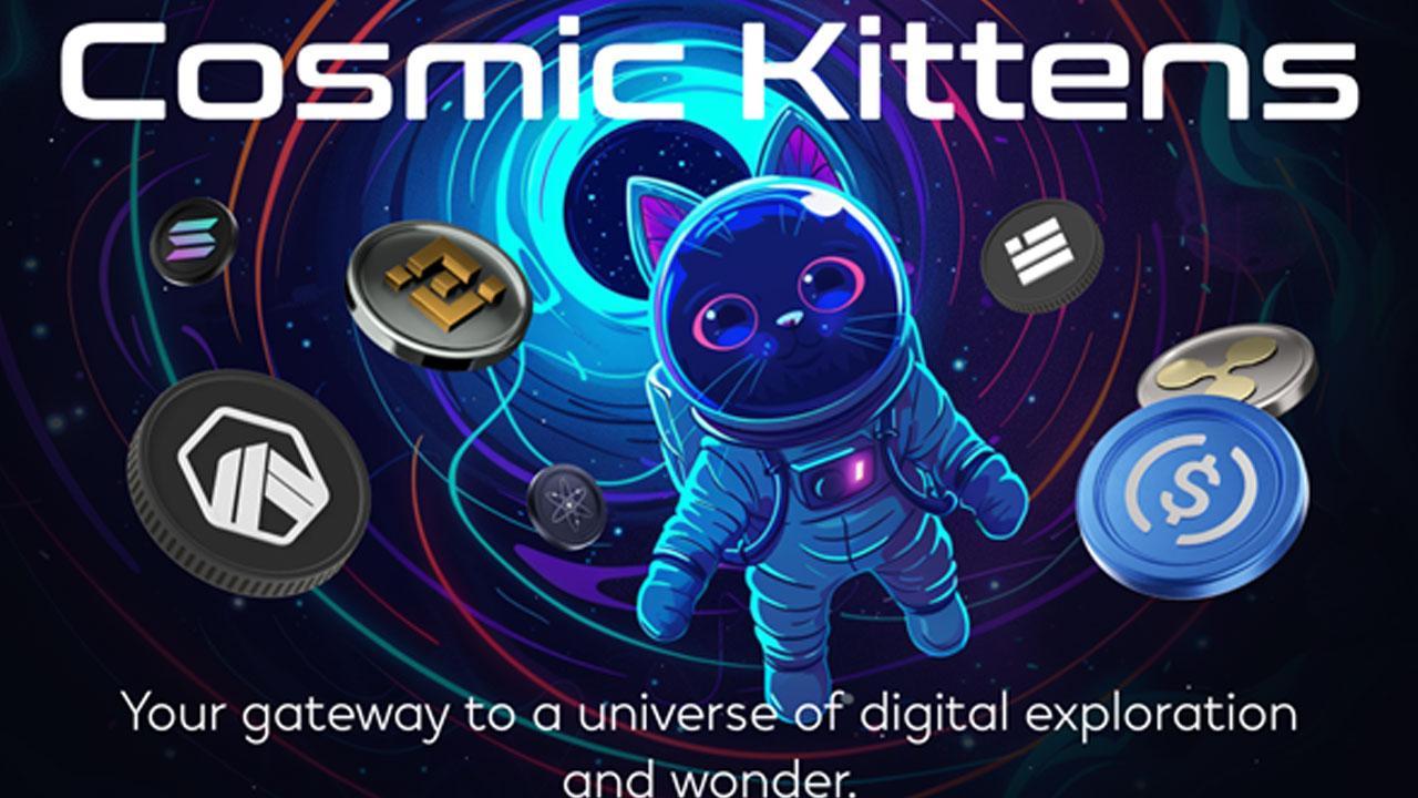 Altcoin Coin Predictions: Cosmic Kittens (CKIT) Could Be As Successful As Dogecoin (DOGE) and Pepe Coin (PEPE)
