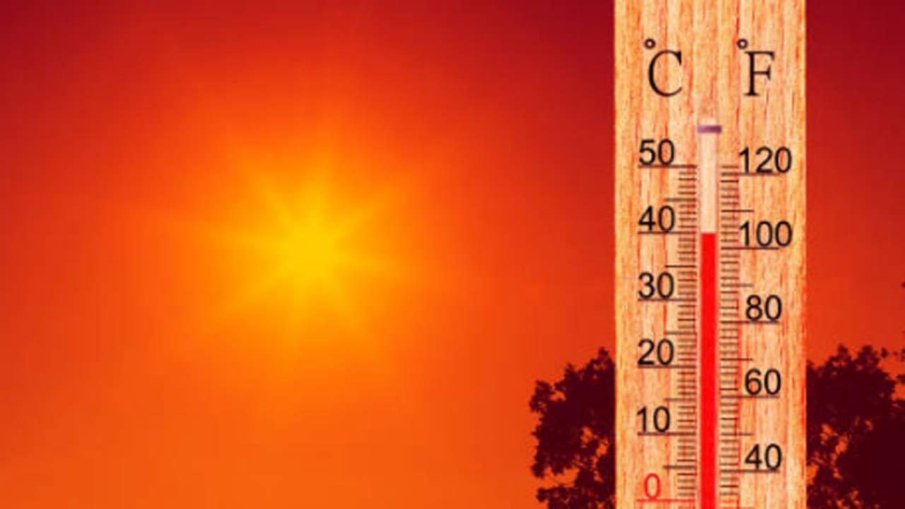 Amid unrelenting heat wave, 50 bodies recovered in Delhi; sharp rise heatstroke cases