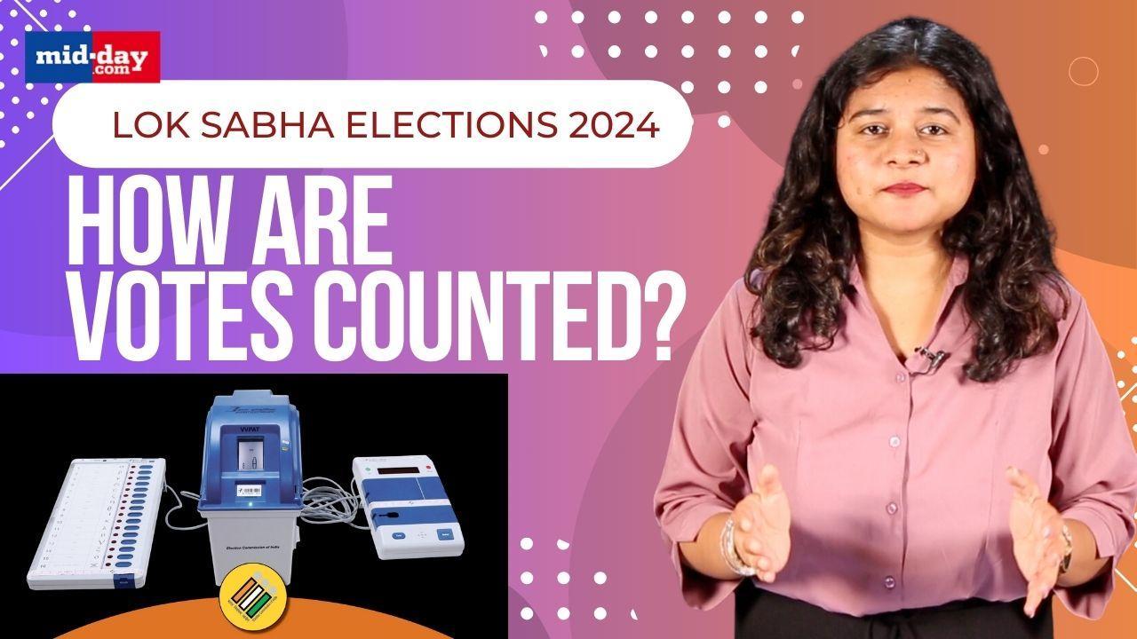  Lok Sabha Elections 2024: How Are Votes Counted In India? Simple Explanation 