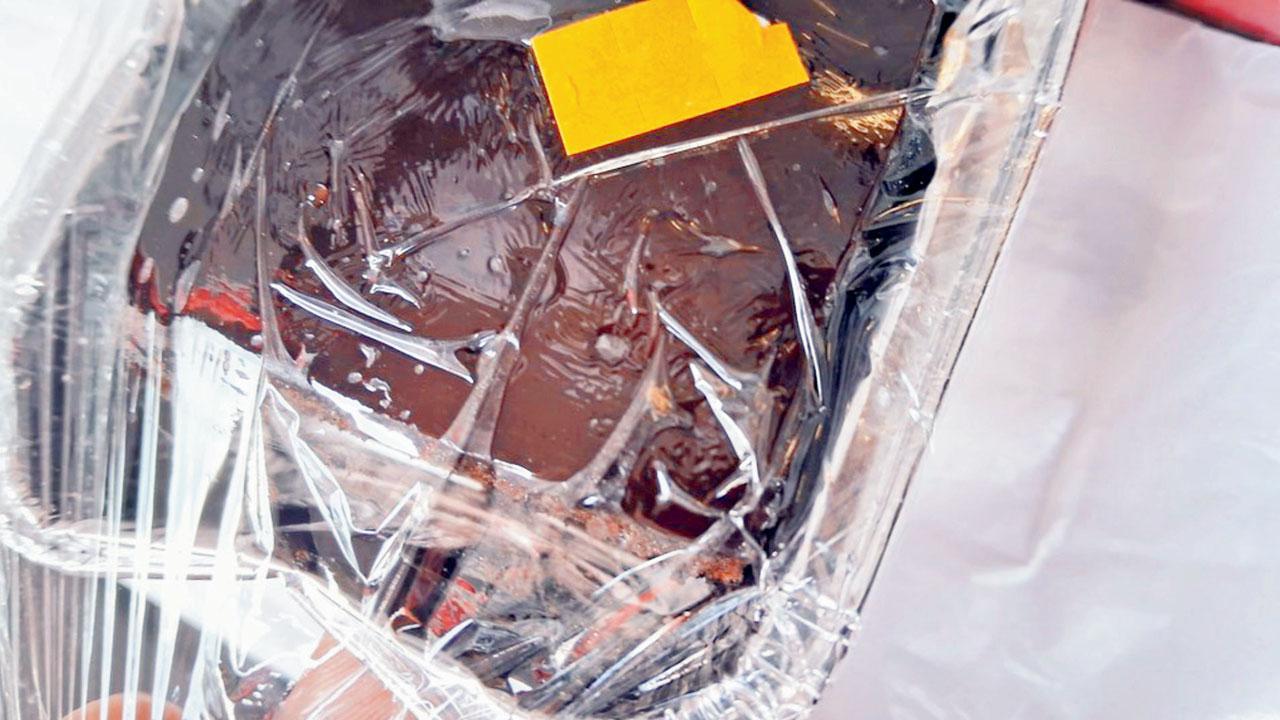 After blade, insect found in Air India in-flight meal