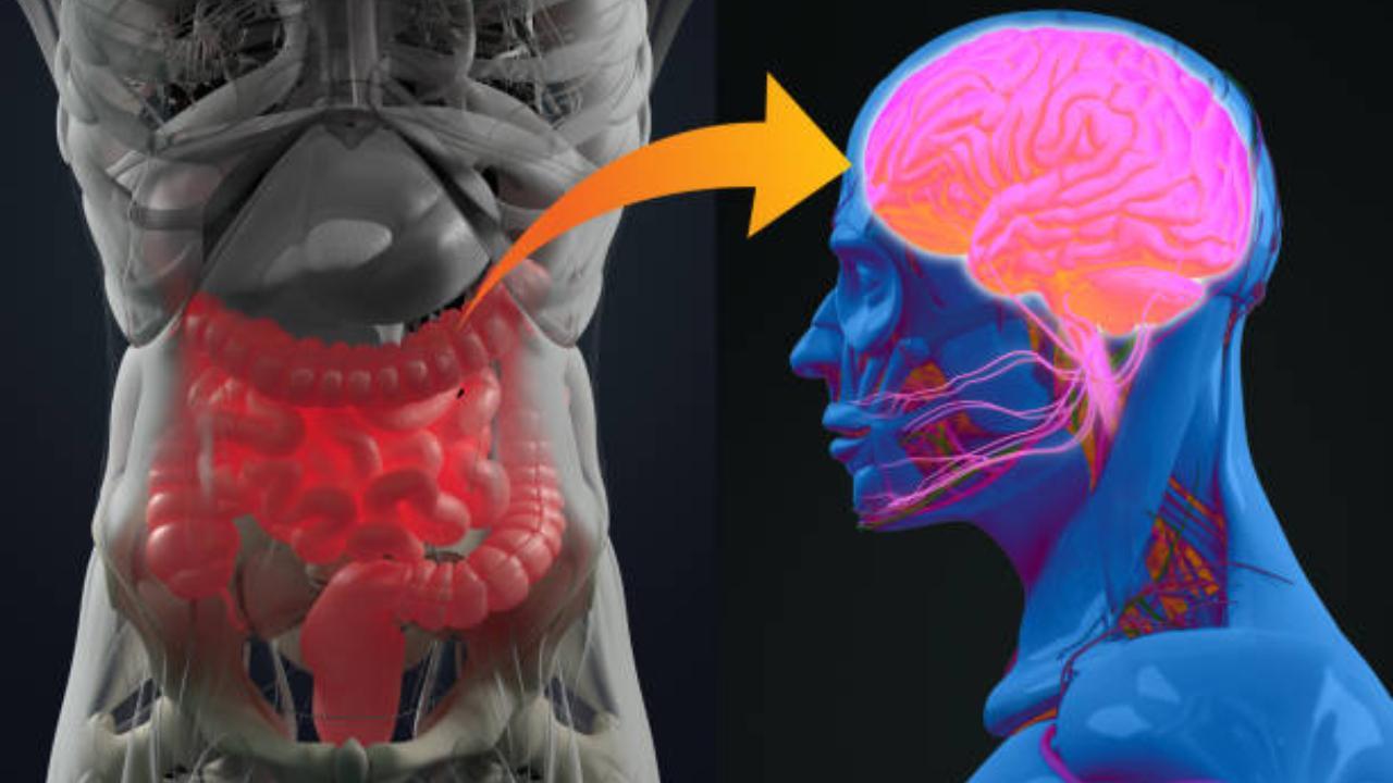 Blame a gut bacteria for your compulsive eating, obesity